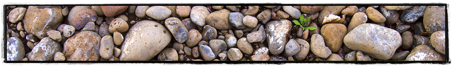 The river stones of Cayuse Vineyards