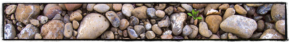 The river stones of Cayuse Vineyards