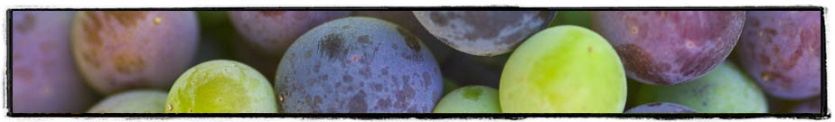 Cayuse grapes
